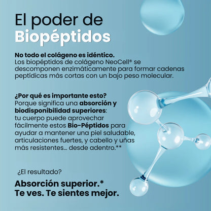 Colágeno Bio-Péptidos de Pastoreo, Polvo de (283 g)