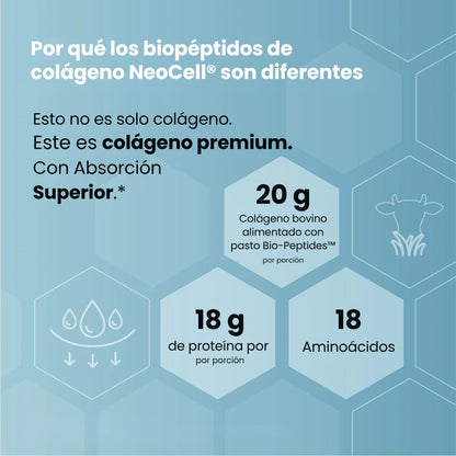 Colágeno Bio-Péptidos de Pastoreo, Polvo de (283 g)