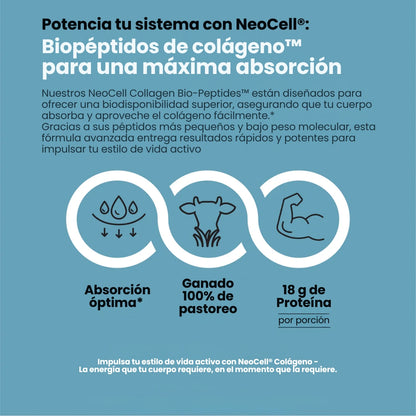 Colágeno Bio-Péptidos de Pastoreo, Polvo de (283 g)
